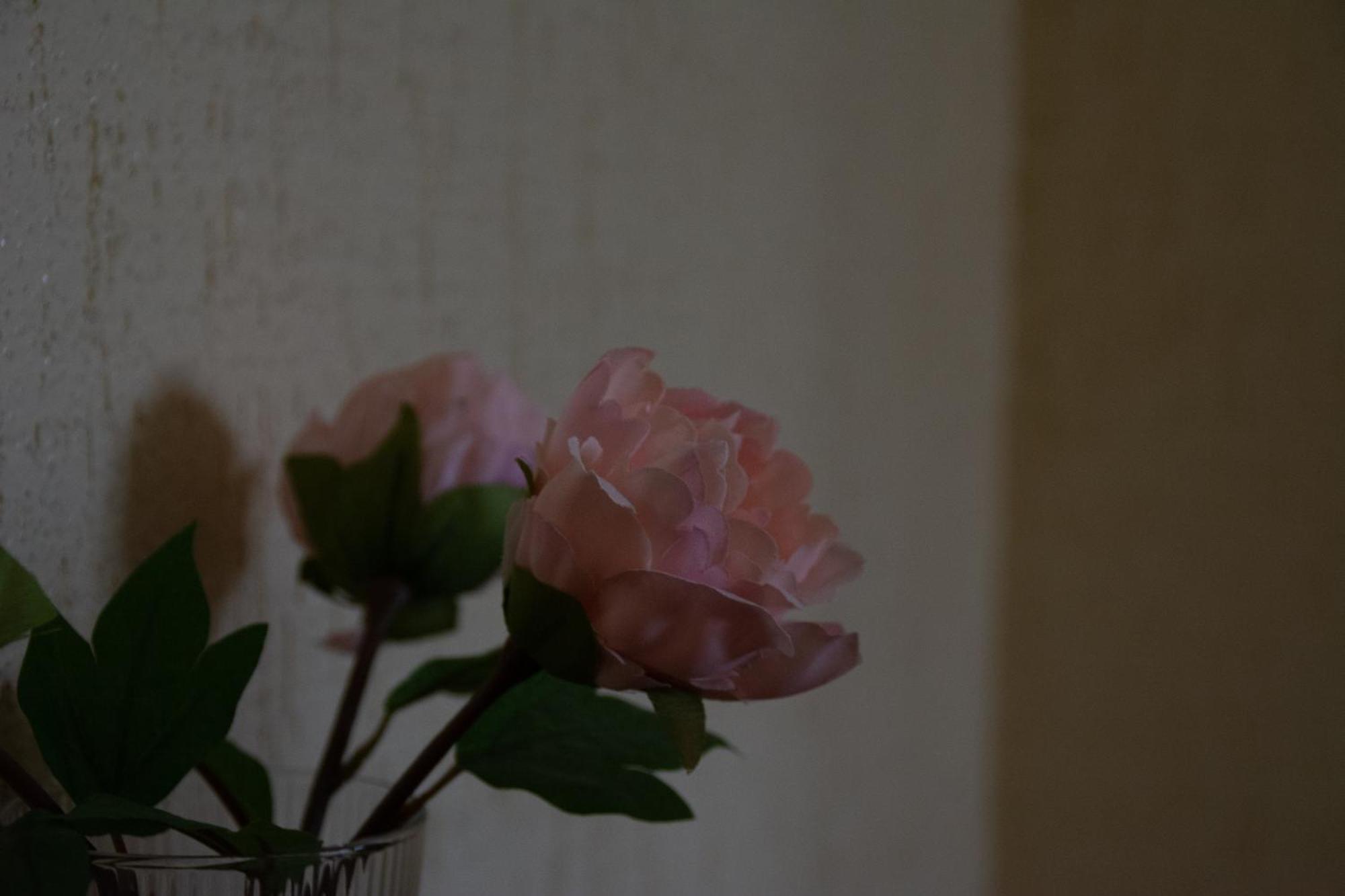 Hostal Rural La Plata Parking Incluido アルコス・デ・ラ・フロンテーラ エクステリア 写真